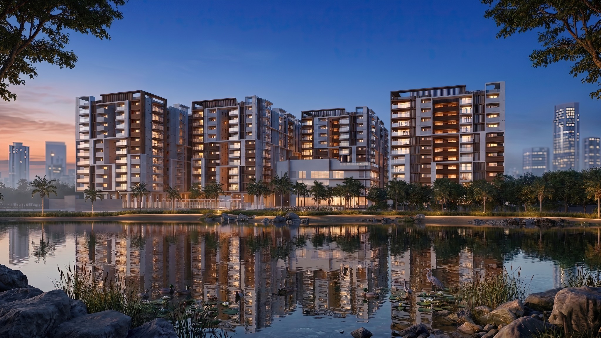 Vision Amnaya evening view